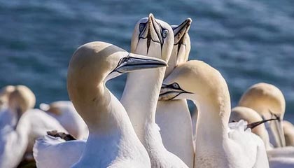 美股三大指数集体收高 原油下跌黄金上涨