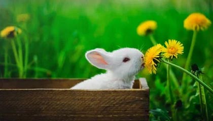 纽约原油期货收涨约1.8%