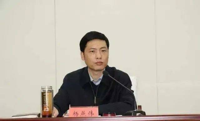 官宣！厅长杨燕伟被查