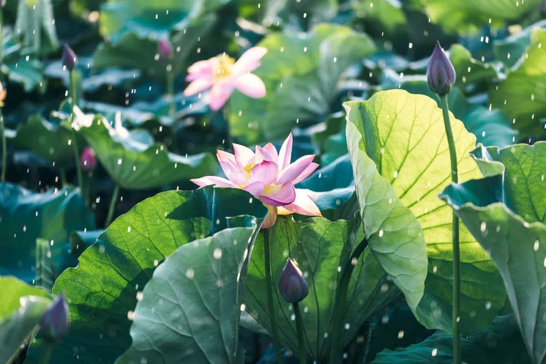 今日小满！天气＋交通最新消息→