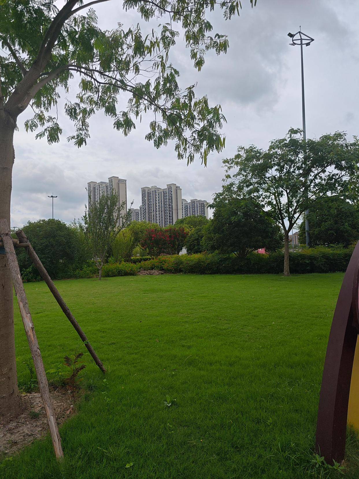 上海奉贤运河公园，令人如此赏心悦目