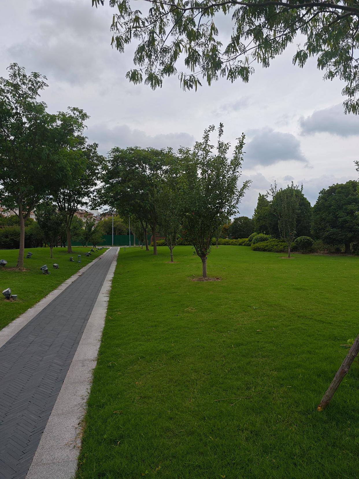 上海奉贤运河公园，令人如此赏心悦目