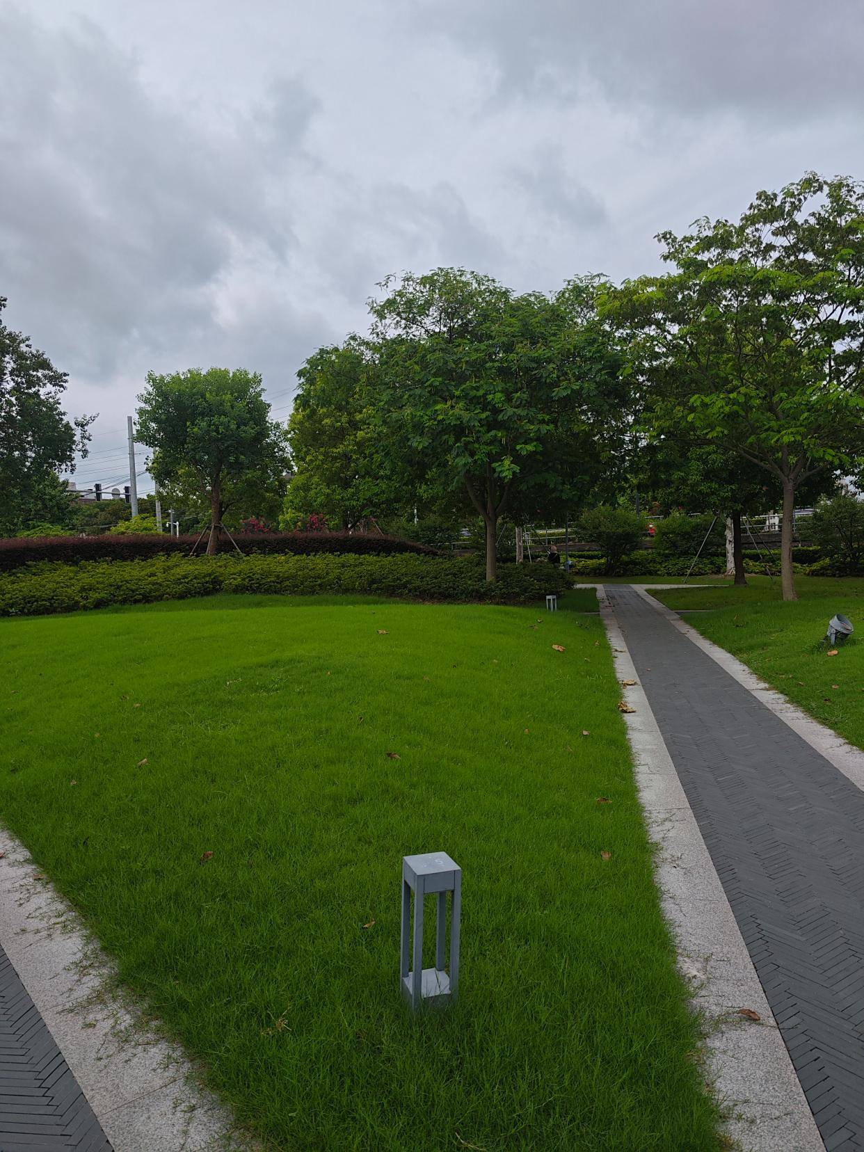 上海奉贤运河公园，令人如此赏心悦目