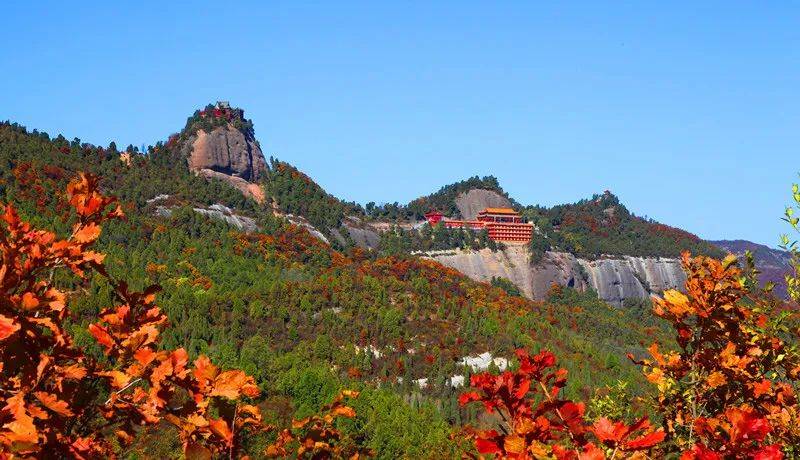 什么是“创森”？什么是“国家森林城市”？