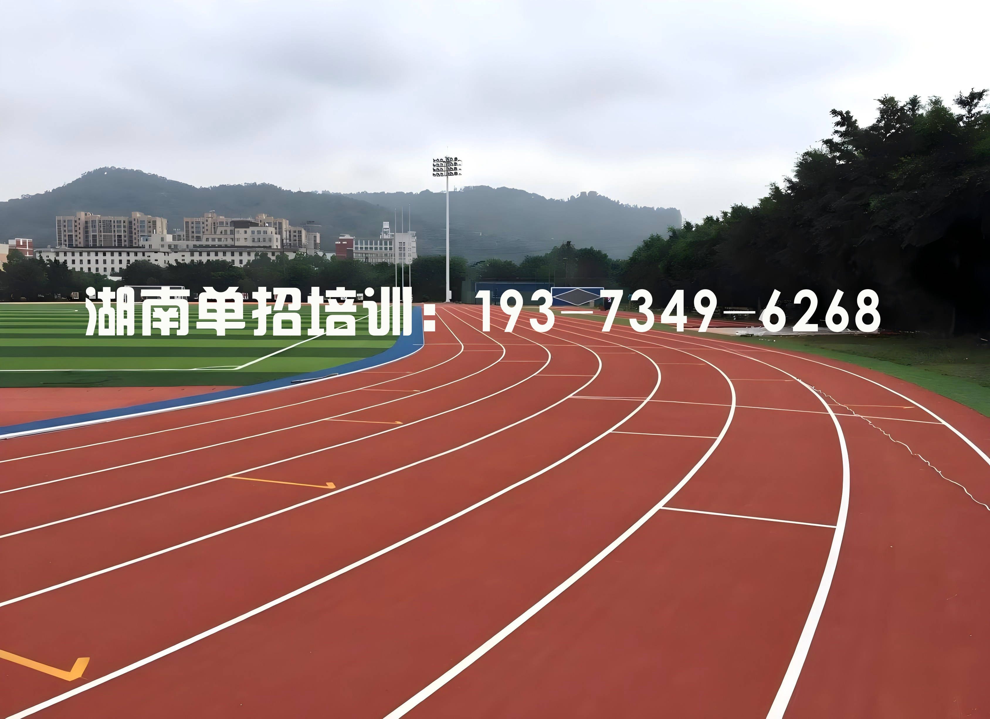 单招是什么意思