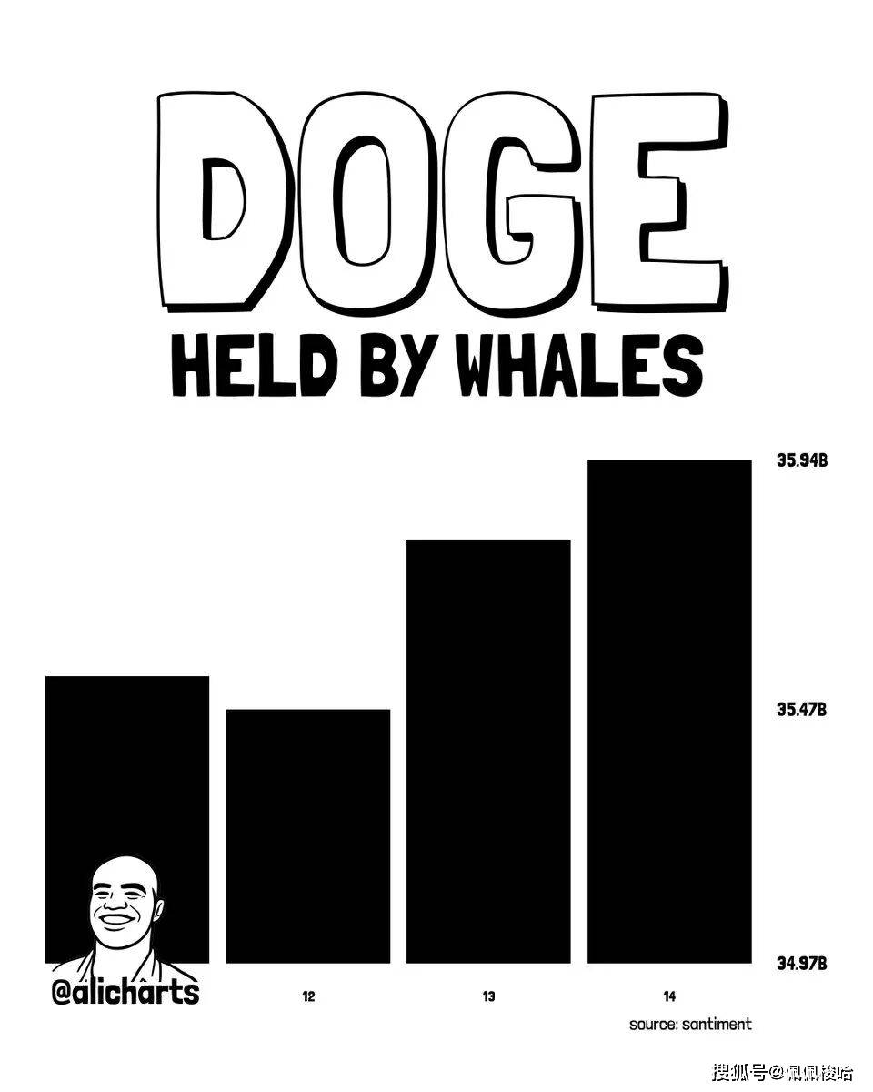 巨鲸72小时扫货4.7亿枚DOGE！狗狗币飙涨6%!