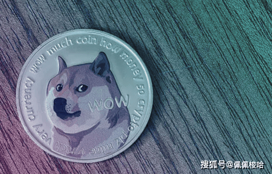 警告！狗狗币价格再次拉响警报：这次崩盘风险有多真？