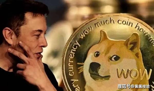 狗狗币价格窄幅震荡，波动性下降——接下来会发生什么？