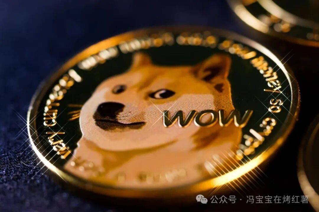 狗狗币（DOGE）到了关键时刻：0.09能守住吗？