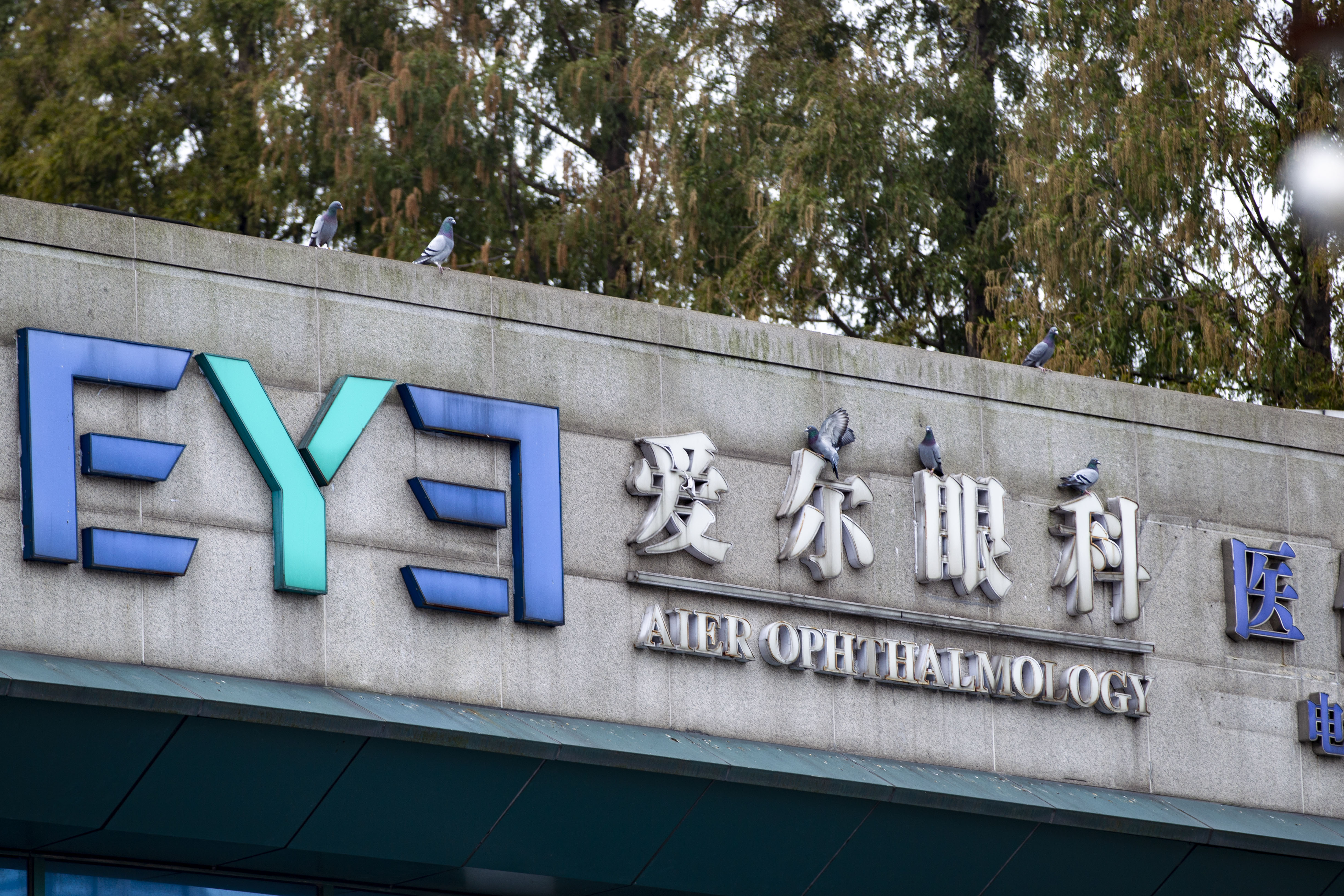 爱尔眼科股票(爱尔眼科股票值得长期投资吗)