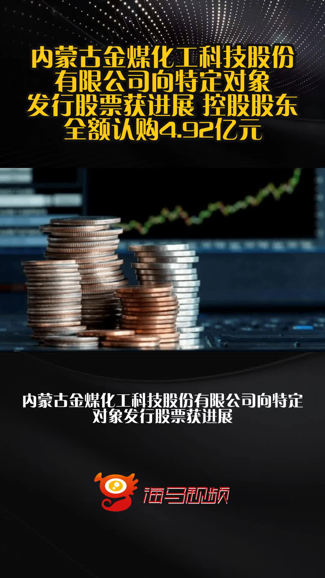 股票认购(股票认购中银行融资什么意思啊)