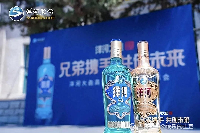 洋河股份股票(洋河股份股票行情)