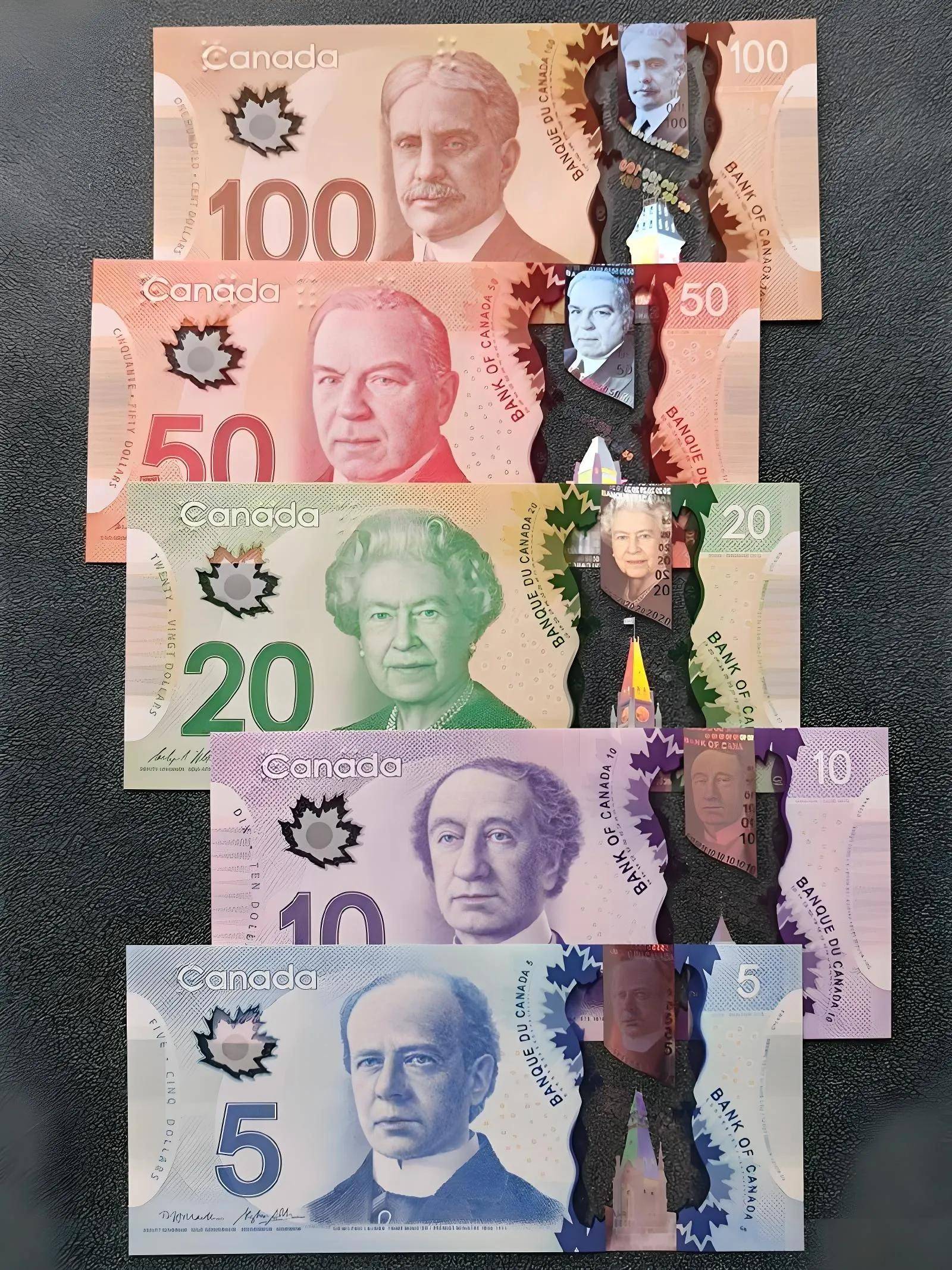 当地货币(当地货币是什么意思)