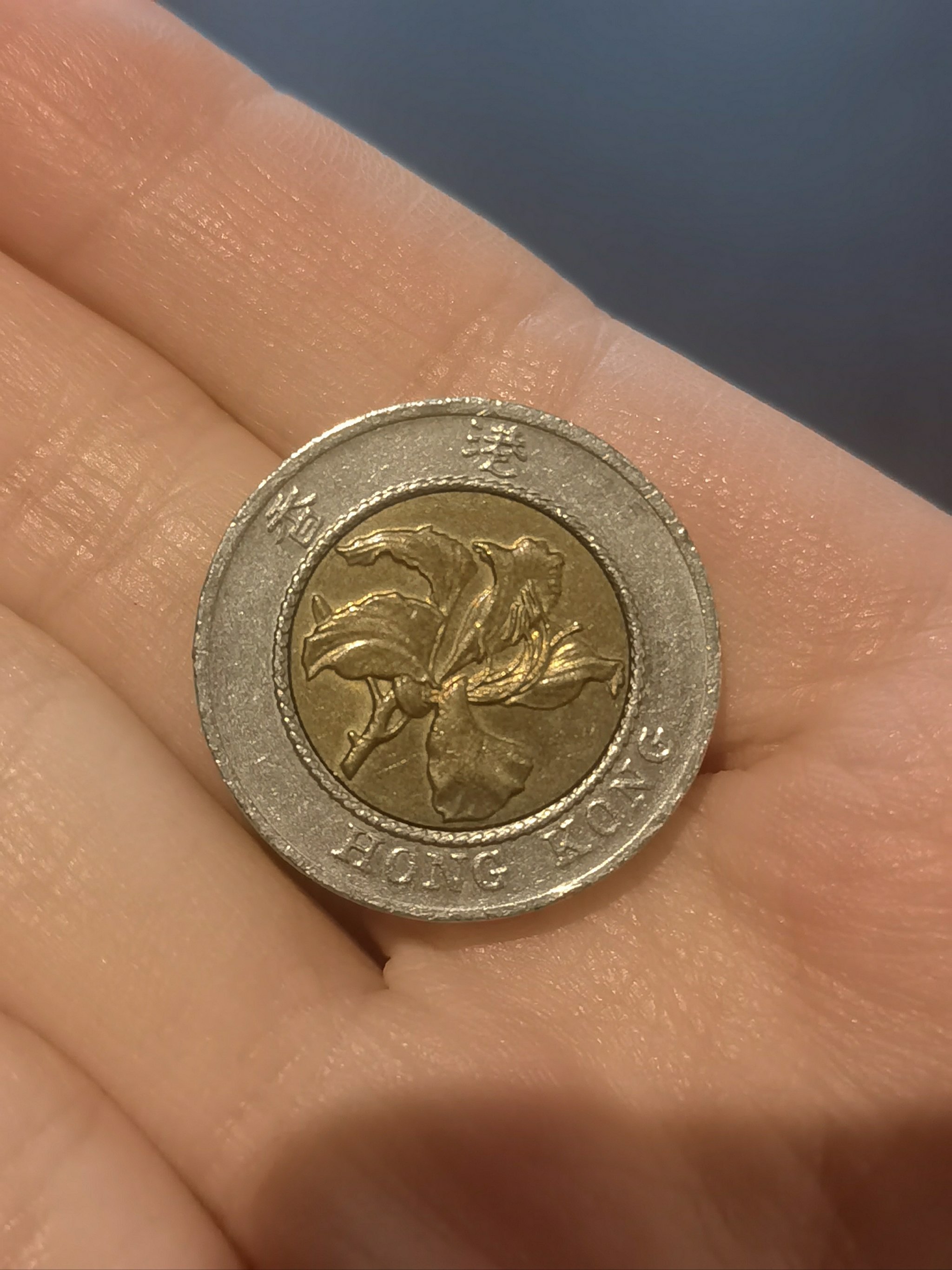 dhs是什么货币(dh是什么货币缩写)